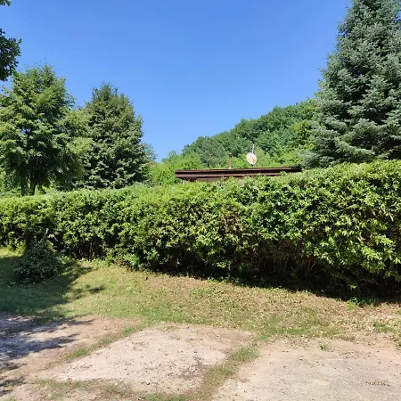 Domasa - Monika Holcsík