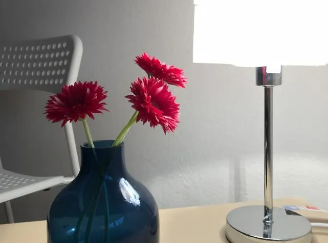 Domasa - Monika * Holcikovce