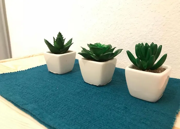 Domasa - Monika Holcikovce