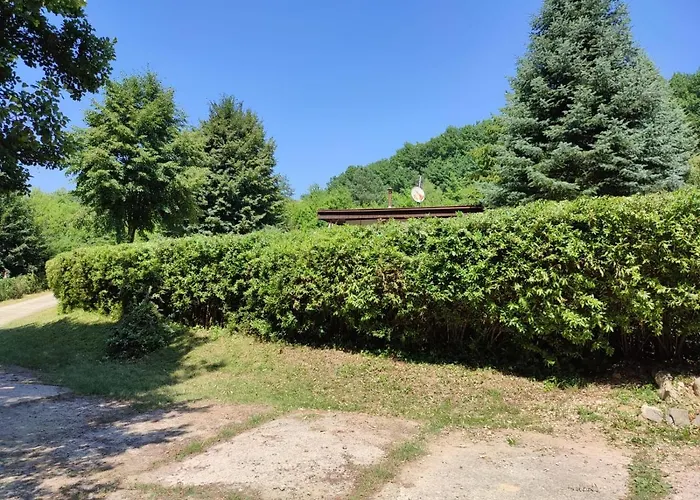 Domasa - Monika Holcikovce